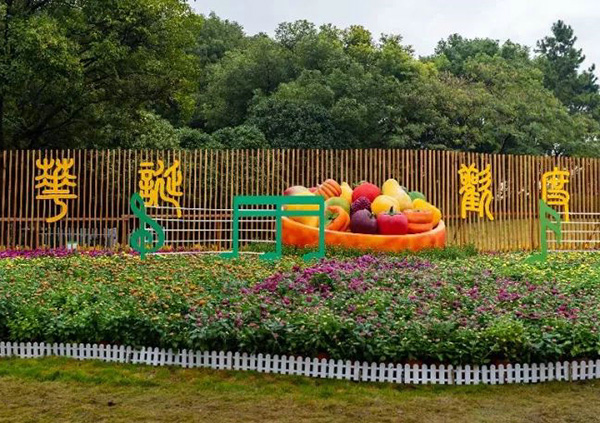 The Zhenhai Golden Autumn Chrysanthemum Exhibition has begun! Come and admire the chrysanthemum in Zhaobaoshan Scenic Area in the autumn, with a refreshing atmosphere and a lot of gold!